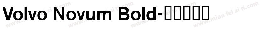 Volvo Novum Bold字体转换